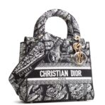 DIOR Lady D-Lite Plan de Paris Black/White - 图片 3