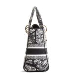 DIOR Lady D-Lite Plan de Paris Black/White - 图片 4