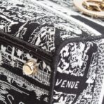 DIOR Lady D-Lite Plan de Paris Black/White - 图片 8