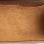 LOUIS VUITTON Monogram Papillon Trunk - 图片 13