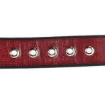 Glazed Fabric Vitello Century FF 1974 Belt 85 34 Rosso Black - 图片 3