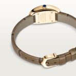 Baignoire watch WGBA0007 - 图片 5