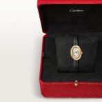 Baignoire watch CRWGBA0041 - 图片 7