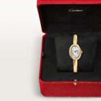 Baignoire watch Mini Model, CRWGBA0018 (Size 15) - 图片 6