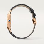 Santos-Dumont watch CRWGSA0021 - 图片 8