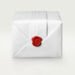 Santos-Dumont watch CRWGSA0082 - 图片 7