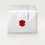 Tank Américaine watch WSTA0082 - 图片 6