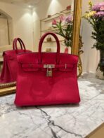 Hermès Birkin 25 Framboise Touch Togo Matt Alligator PHW - 图片 9