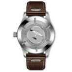 Pilot's Watch Mark XX IW328205 - 图片 2