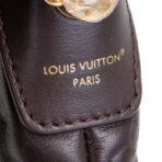 LOUIS VUITTON Coussin Hobo MM - Chocolat - 图片 12