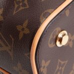 LOUIS VUITTON Carry All MM Monogram - 图片 7