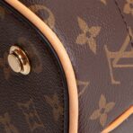 LOUIS VUITTON Carry All MM Monogram - 图片 8