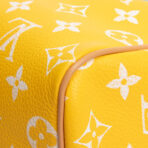 LOUIS VUITTON Monogram Speedy Bandouliere P9 25 Runway - Jaune Mat Yellow - 图片 12