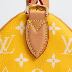 LOUIS VUITTON Monogram Speedy Bandouliere P9 25 Runway - Jaune Mat Yellow - 图片 17