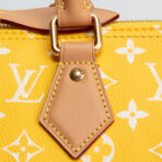 LOUIS VUITTON Monogram Speedy Bandouliere P9 25 Runway - Jaune Mat Yellow - 图片 15