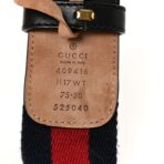 Nylon Calfskin Double G Web 40mm Belt 75 30 Blue Red Black - 图片 4