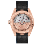 Seamaster Aqua Terra 150m Co‑Axial Master Chronometer GMT Worldtimer 43 mm 220.53.43.22.02.001 - 图片 2