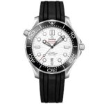 Seamaster Diver 300m Co‑Axial Master Chronometer 42 mm 210.32.42.20.04.001
