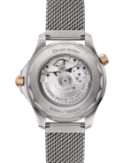 Seamaster Diver 300M Co‑Axial Master Chronometer 42mm Titanium 210.90.42.20.10.001 - 图片 2