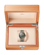 Seamaster Diver 300M Co‑Axial Master Chronometer 42mm Titanium 210.90.42.20.10.001 - 图片 3