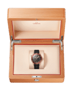 Seamaster Diver 300M 42 mm 210.92.42.20.01.003 - 图片 3