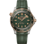 Seamaster Diver 300M Co‑Axial Master Chronometer 42mm Titanium 210.92.42.20.10.001