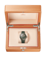 Seamaster Diver 300M Co‑Axial Master Chronometer 42mm Titanium 210.92.42.20.10.001 - 图片 3